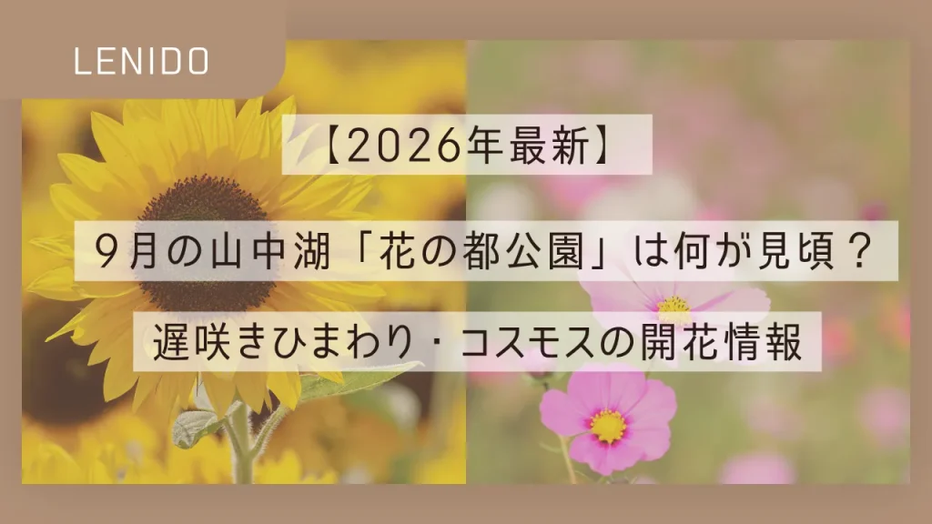 【2026年最新】9月の山中湖「花の都公園」は何が見頃？遅咲きひまわり・コスモスの開花情報